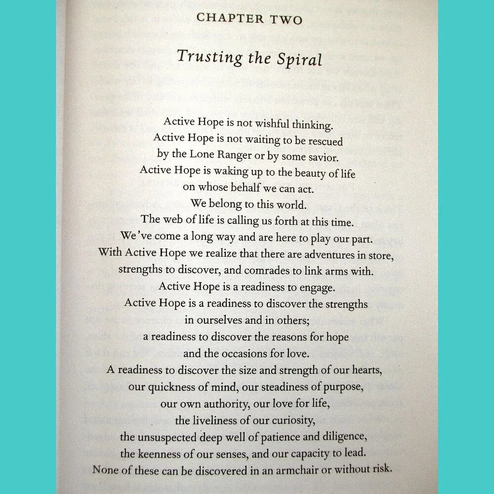 Book - Active Hope: How to Face the Mess We're in Without Going Crazy - Picture 6 of 16